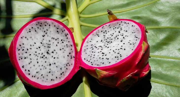DRAGON FRUIT