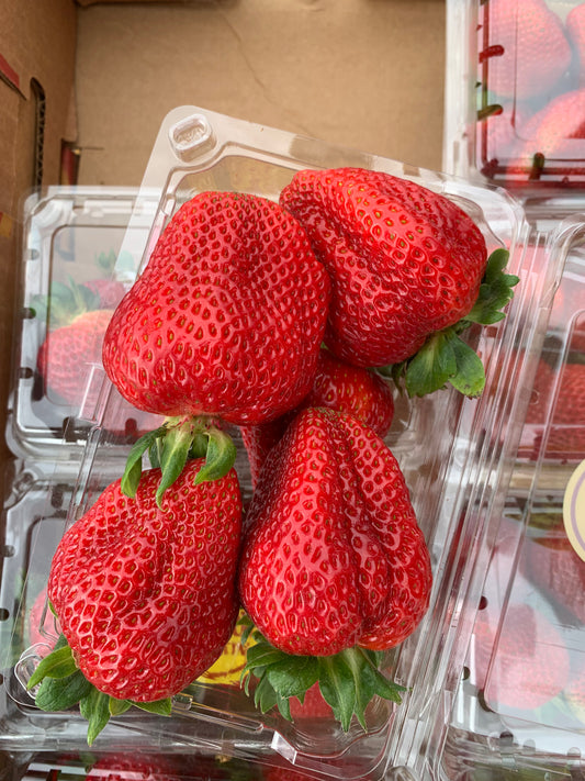 Strawberries miki's berry farms 
