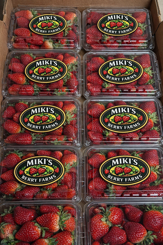 Whole sale Strawberry